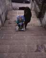 Adulto con bambino in passeggino che affronta una rampa di scale